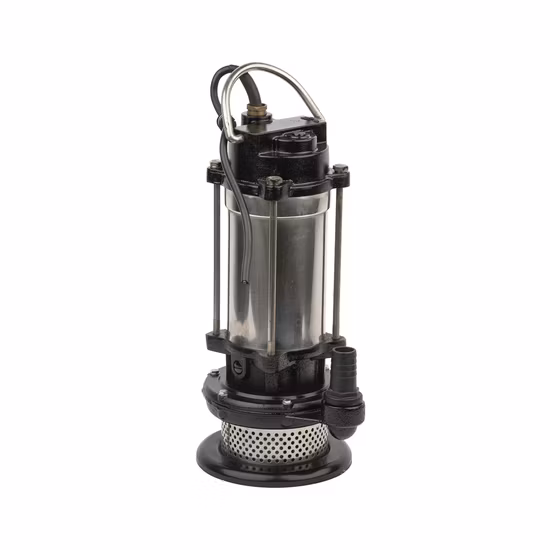 0.5HP/1HP/1.5HP série Qdx pompe à eau submersible électrique de 1 pouce avec interrupteur à flotteur Qdx1.5