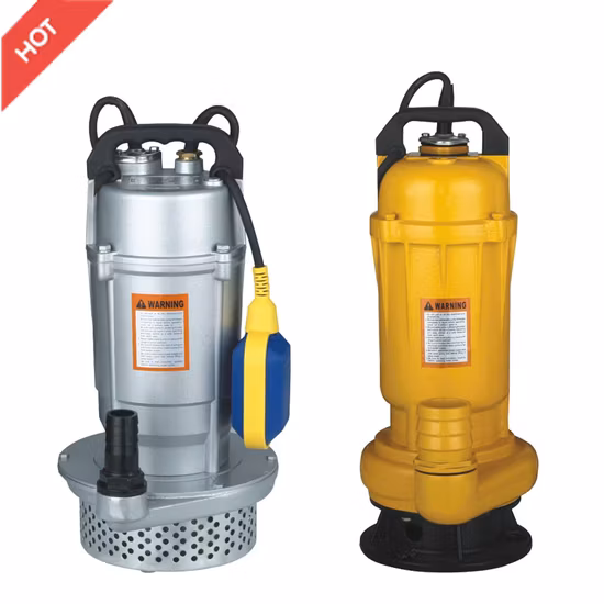 Pompe à eau submersible populaire de bonne qualité Qdx avec CE